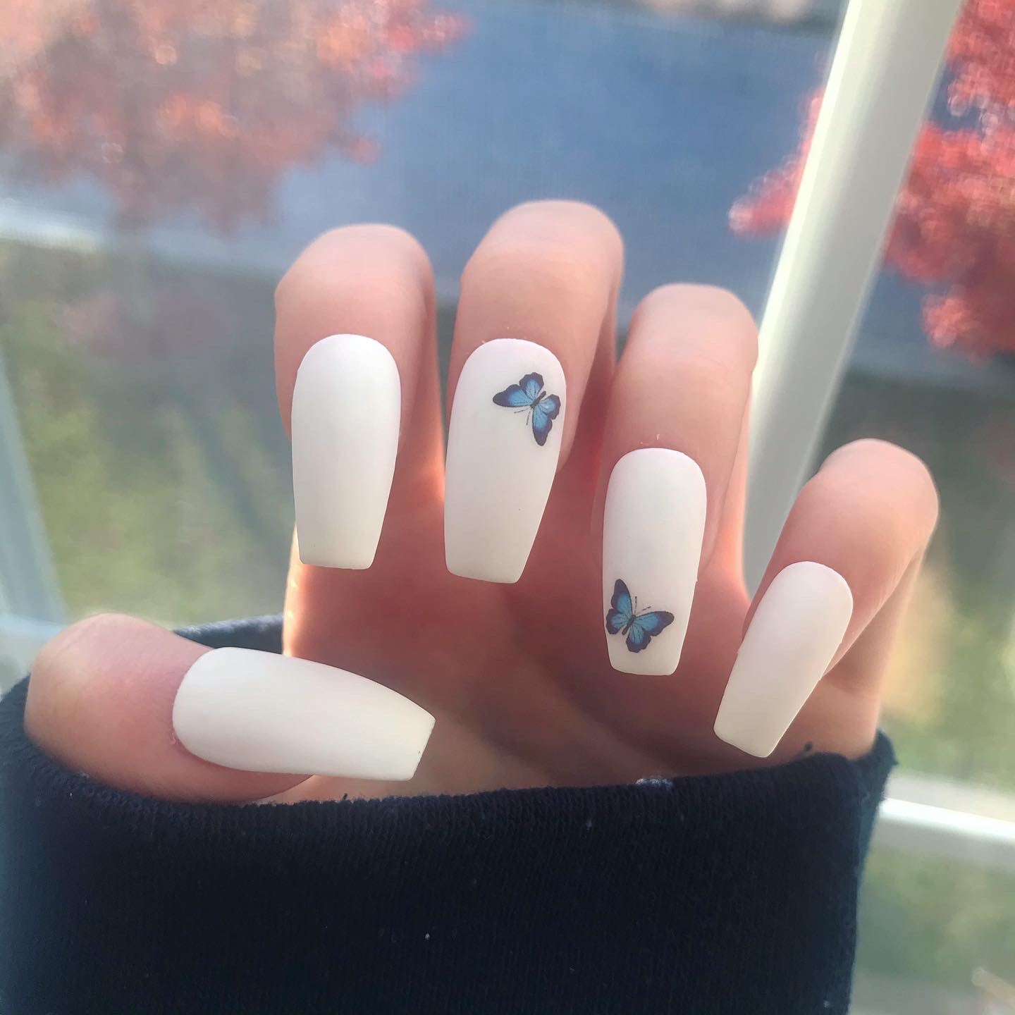 Butterfly Love