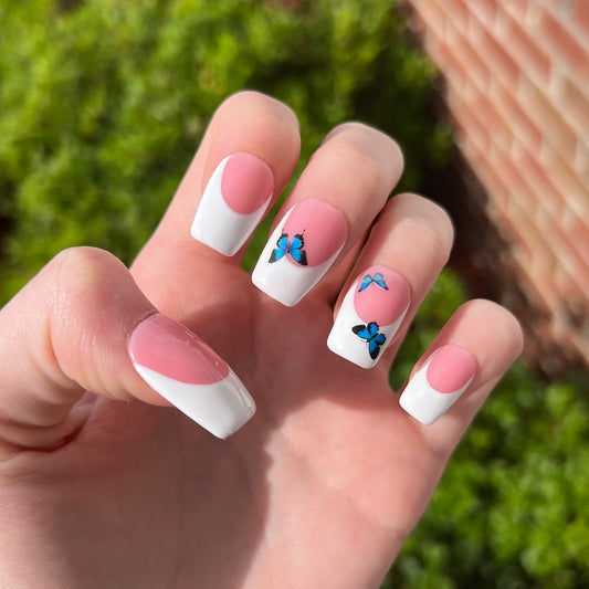 French Butterfly